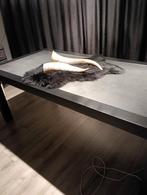 Eetkamer tafel met leistenen platen, Ophalen