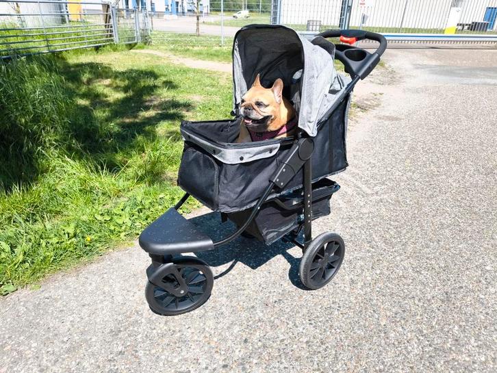 Hondenbuggy, wandelwagen hond, grote wielen, Dieren en Toebehoren, Honden-accessoires, Zo goed als nieuw, Ophalen