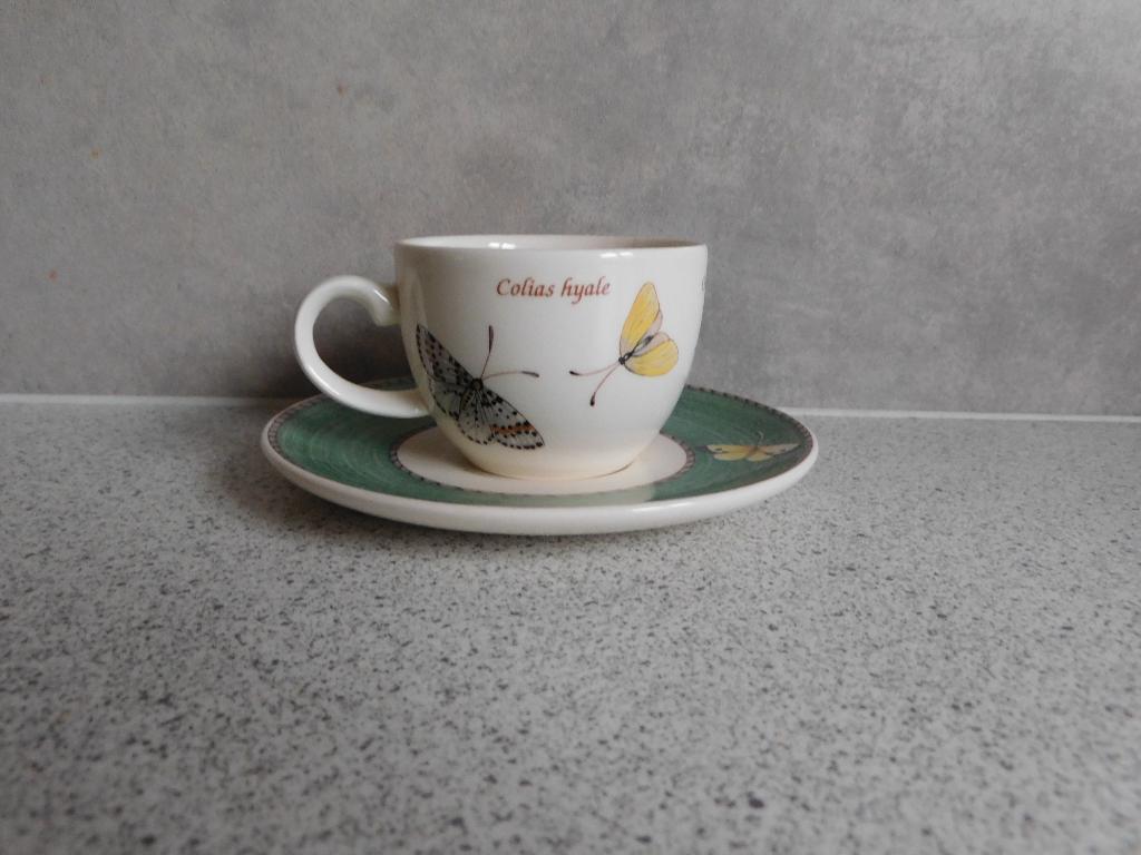 Espresso Kop en Schotel Sarah's Garden Wedgwood, Ophalen of Verzenden, Zo goed als nieuw, Wedgwood, Kop(pen) en/of Schotel(s)