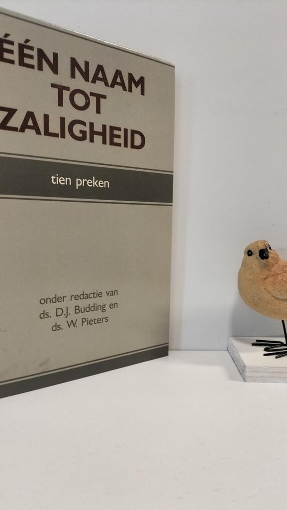 Budding, Ds. D.J. e.a.; Een Naam tot zaligheid, Boeken, Ophalen of Verzenden, Gelezen, Christendom | Protestants