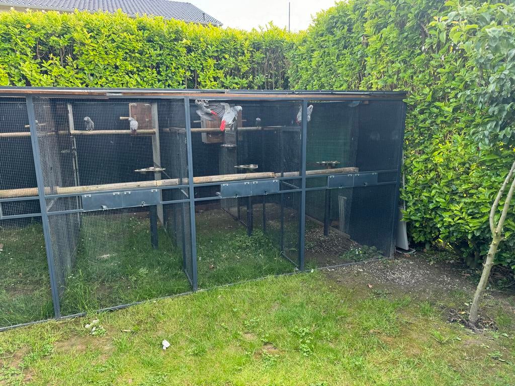 Een vogelkooi., Ophalen of Verzenden, Aluminium, Volière