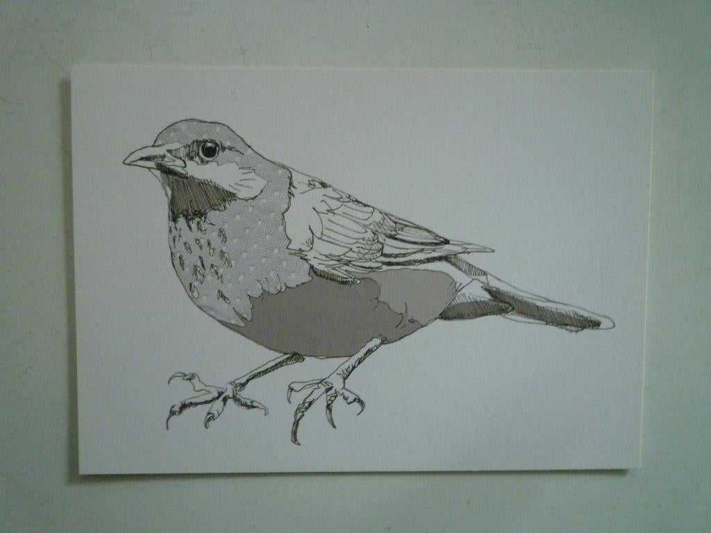 Kunstkaart Maartje van den Noort merel vogel, Ophalen of Verzenden, 1980 tot heden, Hond of Kat