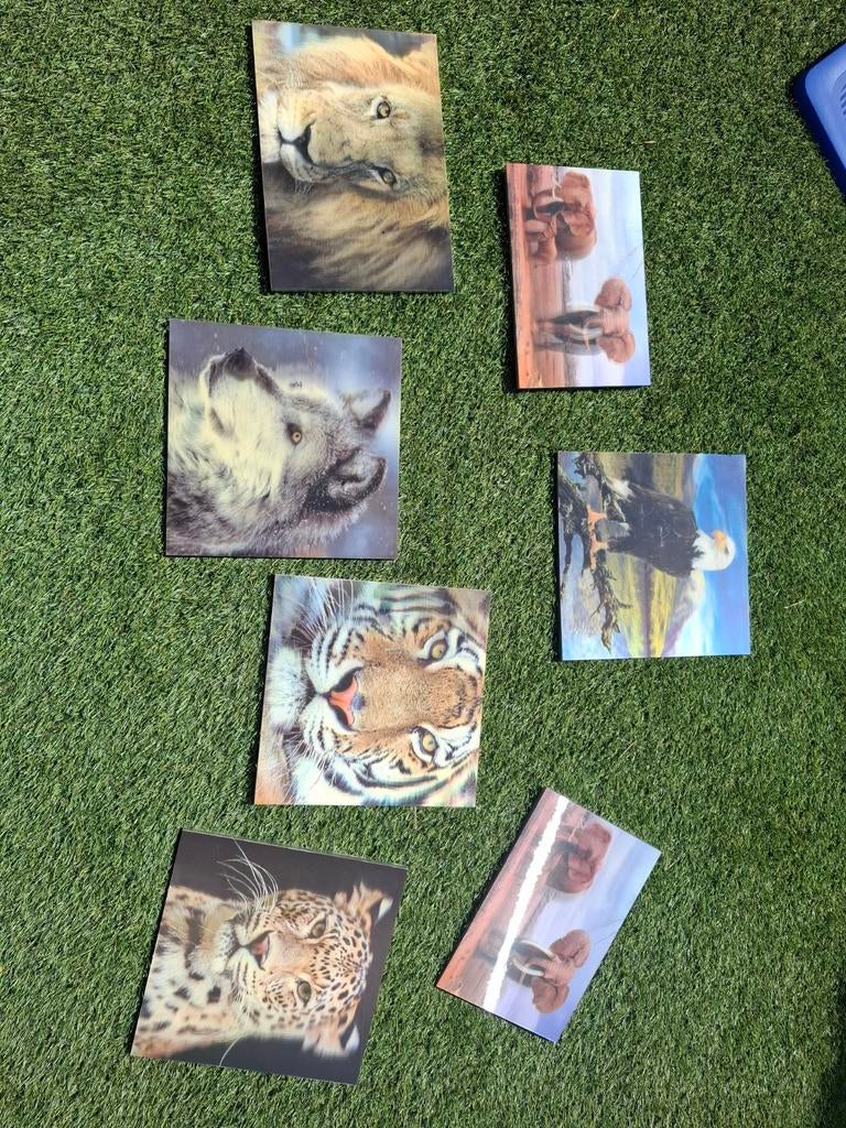 Dierenprints op hout, 7 stuks 3D, Huis en Inrichting, Woonaccessoires | Schilderijen, Tekeningen en Foto's, Ophalen of Verzenden