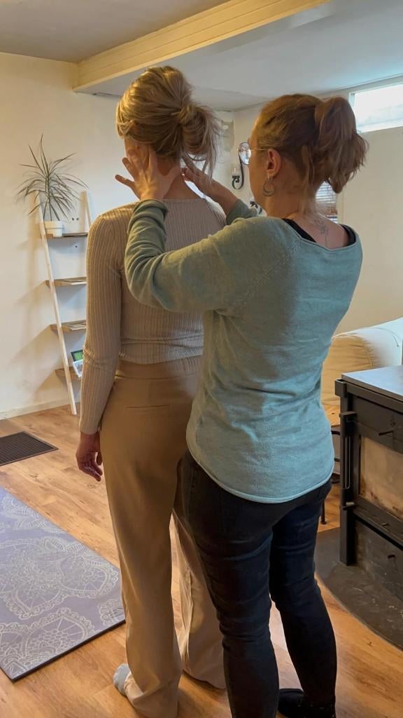 Basistraining Systeemherstel en Lijfkrachtherstel, Diensten en Vakmensen, Cursussen en Workshops, Werk of Loopbaan
