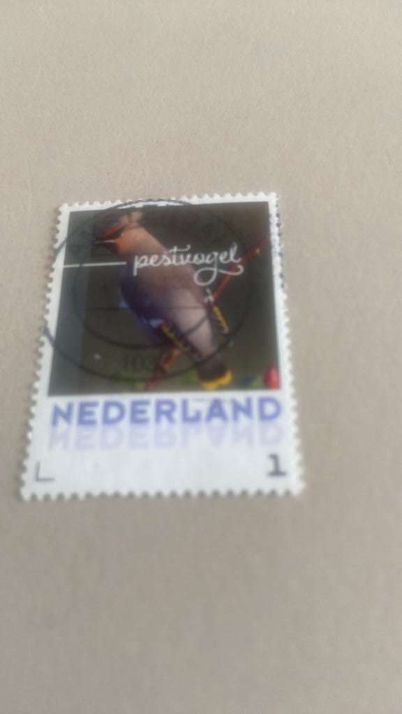 Nederland, Postzegels en Munten, Postzegels | Nederland, Ophalen of Verzenden, Gestempeld
