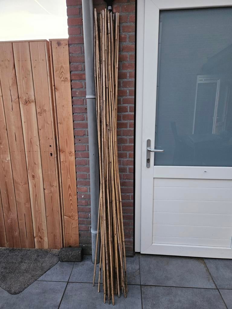 Bamboestokken in twee maten, Tuin en Terras, Palen, Balken en Planken, Ophalen, Zo goed als nieuw, 180 tot 250 cm, Overige typen