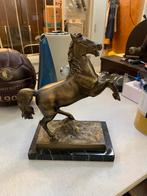 Beeld Bronzen koper beeld van paard op marmer voetstuk, Ophalen of Verzenden