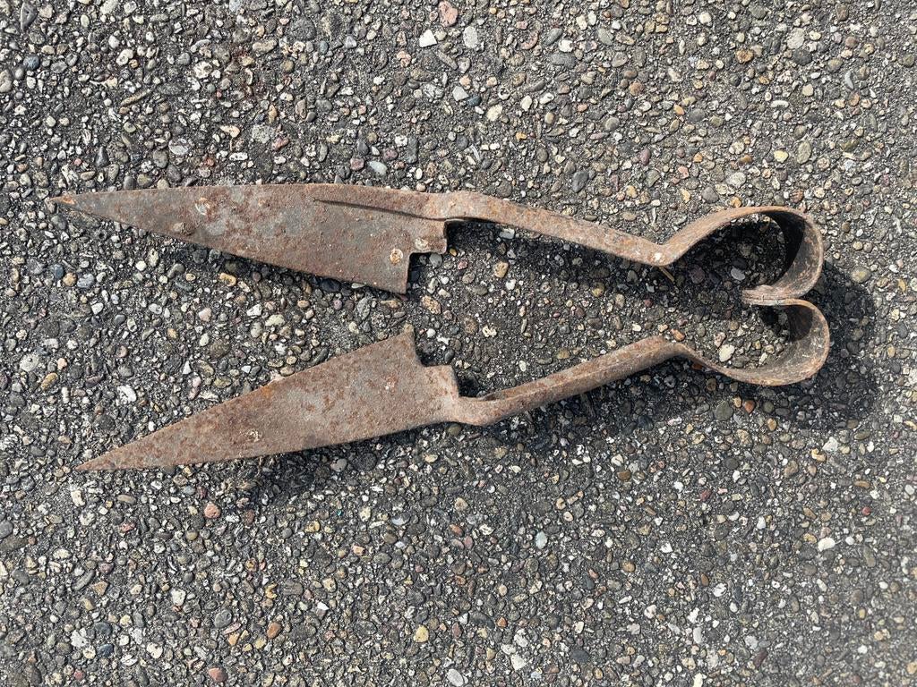Antiek Oud Hollandsch gereedschap, 2 scharen voor schapen, Antiek en Kunst, Antiek | Gereedschap en Instrumenten, Ophalen
