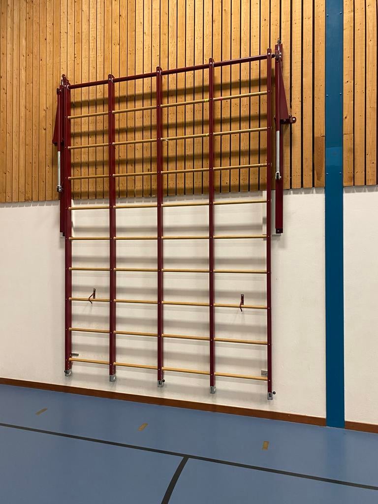 Turnrek/Wandrek voor Gymzaal of Thuisgebruik, Ophalen, Gebruikt