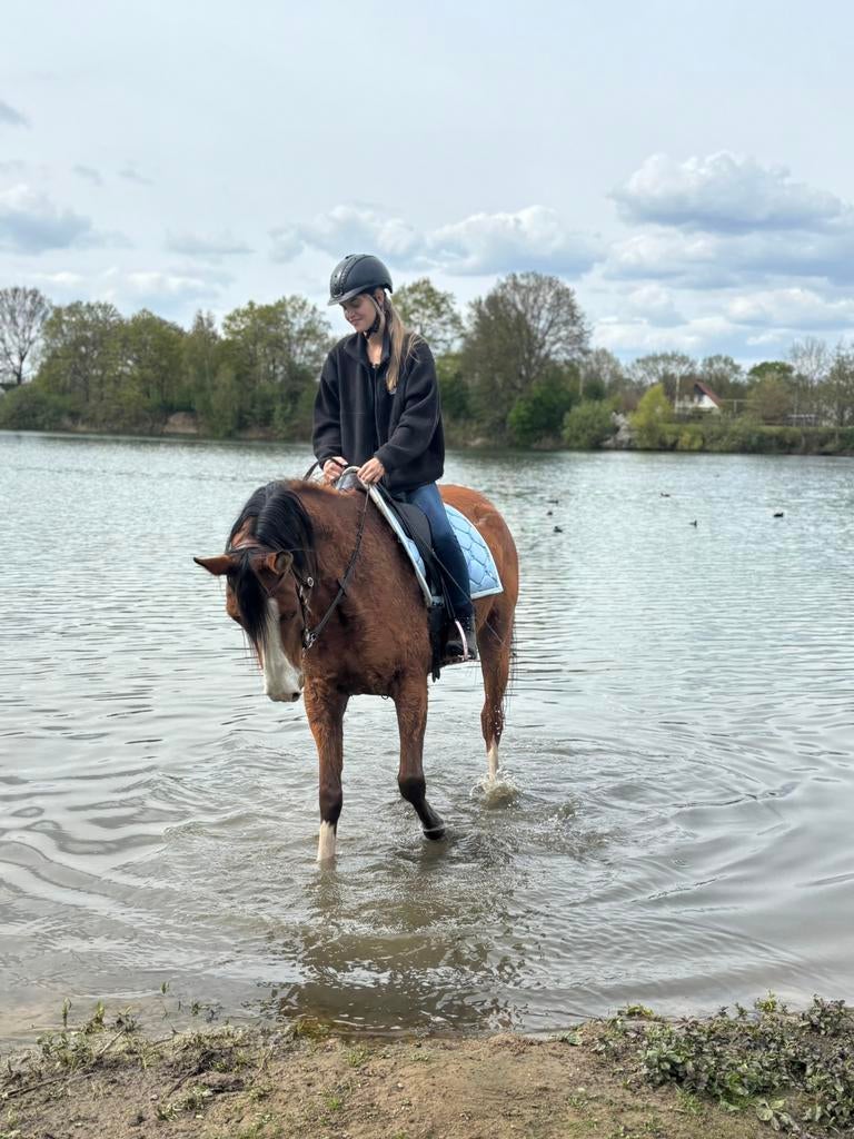 Super makke brave grote epony/klein paardje😍, Dieren en Toebehoren, Paarden, Minder dan 160 cm, Ruin, 7 tot 10 jaar, Westernpaard