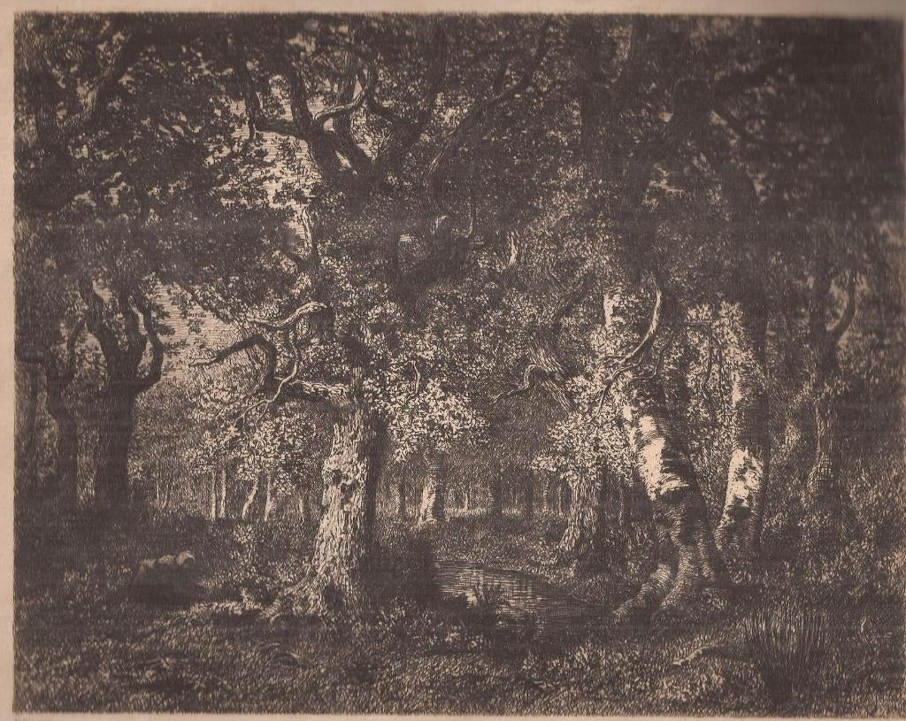 Martial, A.P. - Fontainebleau naar Narcisse Diaz de la Pena, Origineel, 1800 - 1899, Ets, Ophalen of Verzenden