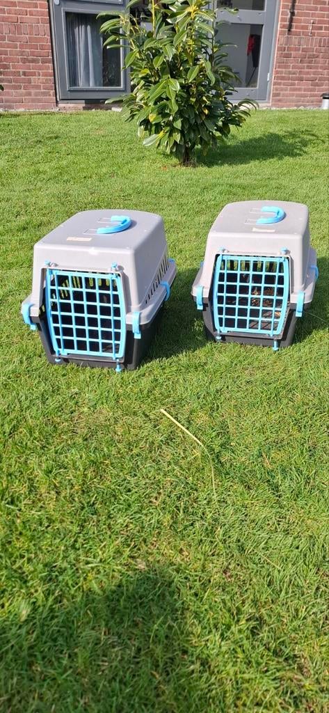 Reismand Beeztees als nieuw, Dieren en Toebehoren, Ophalen, Zo goed als nieuw