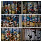 Donald Duck Duckstad pockets - Complete serie, Boeken, Stripboeken, Complete serie of reeks, Ophalen of Verzenden, Zo goed als nieuw