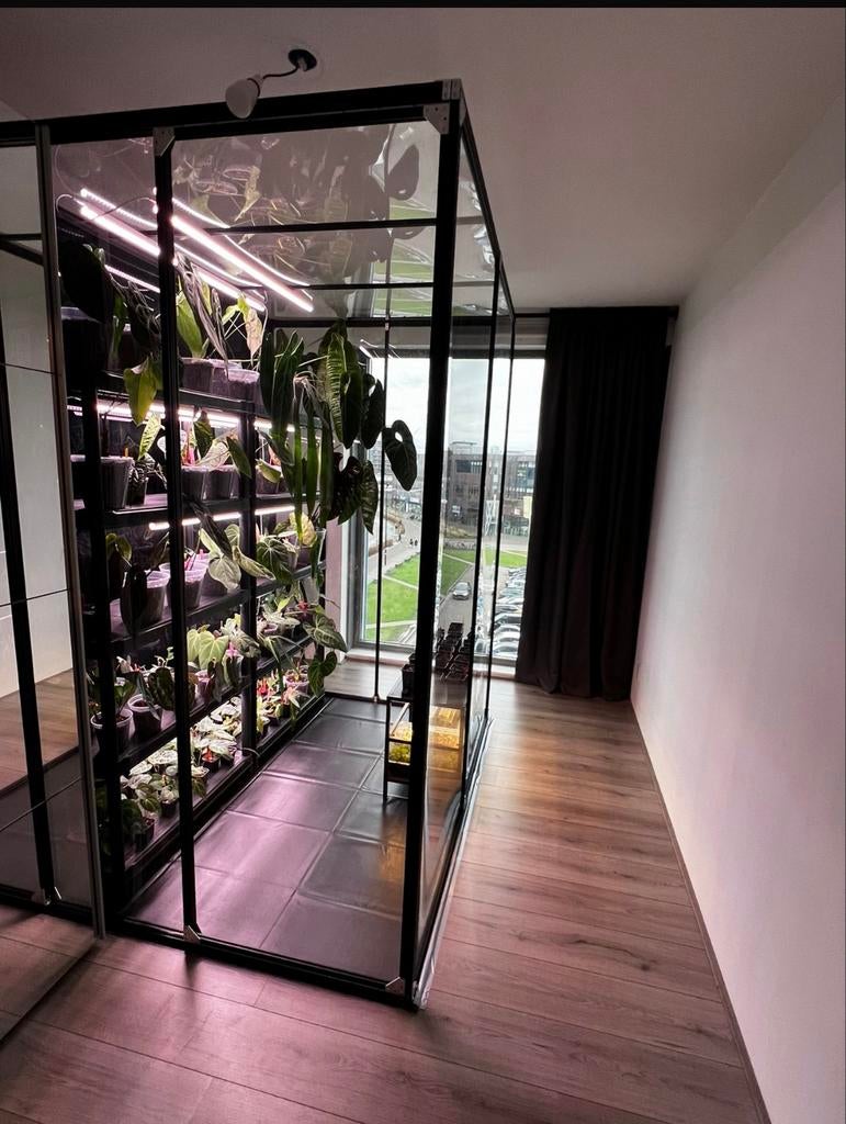 Grote zelfgemaakte kas voor tropische planten met verlichtin, Ophalen, Halfschaduw, Minder dan 100 cm