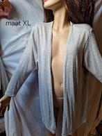 Leuk grijs vest, Ophalen of Verzenden, Zo goed als nieuw, Maat 42/44 (L), Grijs