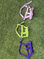 Hobby horse halsters 3 stuks, Ophalen of Verzenden