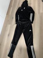 Adidas trainingspak maat 146/152, Ophalen of Verzenden, Zo goed als nieuw, Jongen of Meisje, Sport- of Zwemkleding