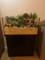 Hamsterbak voor hamsterscaping incl alle toebehoren, Dieren en Toebehoren, Zo goed als nieuw, 75 tot 110 cm, Ophalen, Minder dan 60 cm
