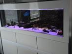 Aquarium 175x60x60, Ophalen, Leeg aquarium