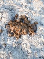 Gratis  Paardenmest, Dieren en Toebehoren, Overige Dieren, Maart