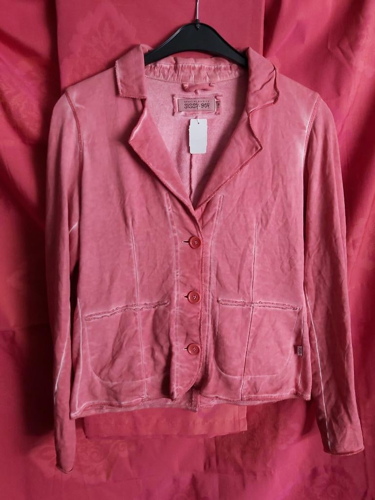 sweatvest Sissy Boy, of Gaastra, mt M, Kleding | Heren, Ophalen of Verzenden, Zo goed als nieuw, Maat 48/50 (M), Roze