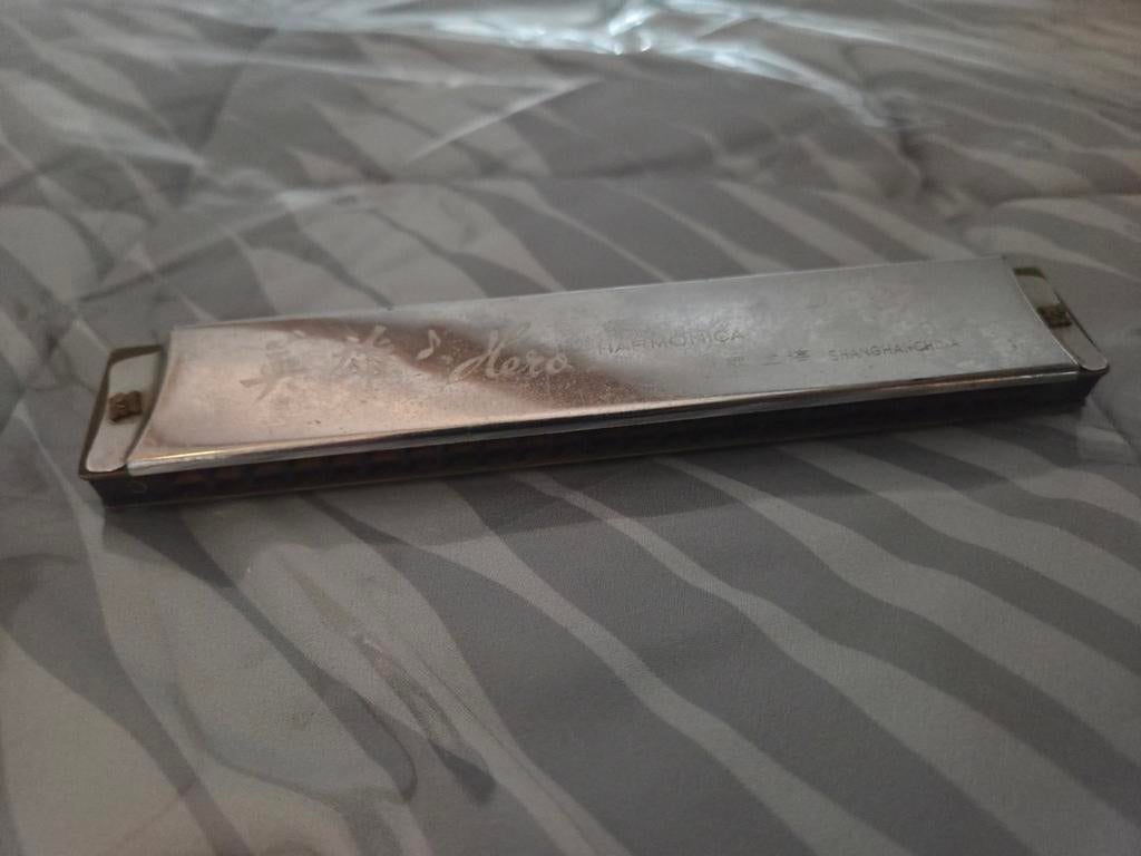 Mondharmonica - Klassiek en veelzijdig instrument, Muziek en Instrumenten, Ophalen, Gebruikt, Diatonisch, Overige typen