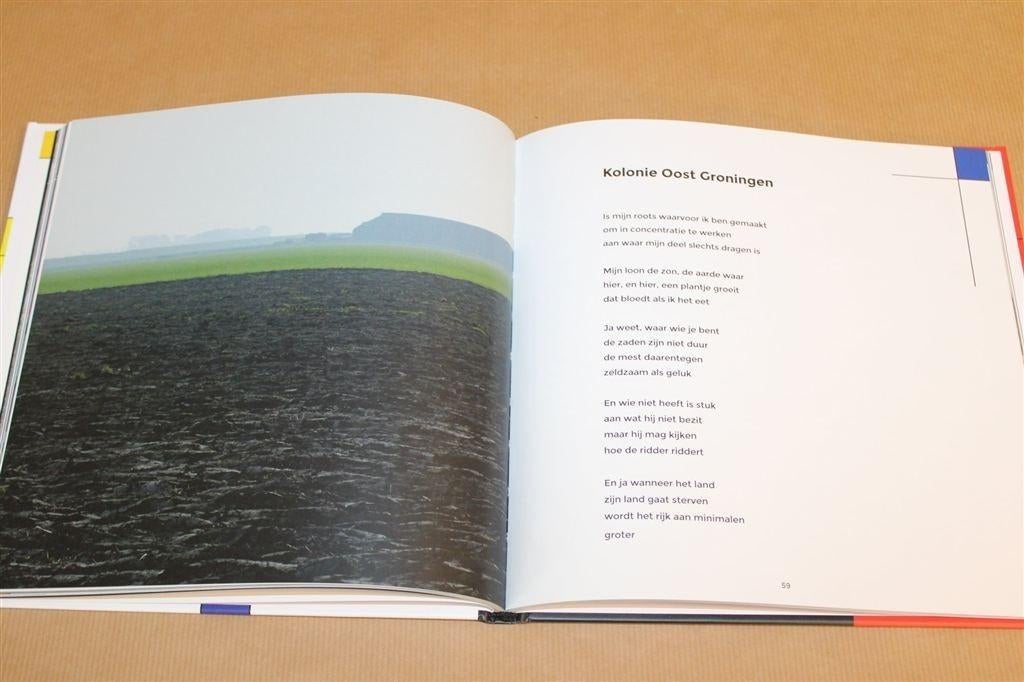 Geboren in een Ja — Rob Rosendahl Oldambt Gedichten, Boeken, Ophalen of Verzenden, Zo goed als nieuw