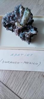 Gele Apatiet op matrix, Ophalen of Verzenden