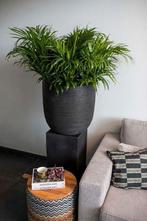 2x capi bloempot zwart rib 41 cm hoog, Ophalen of Verzenden, Halfschaduw, Minder dan 100 cm