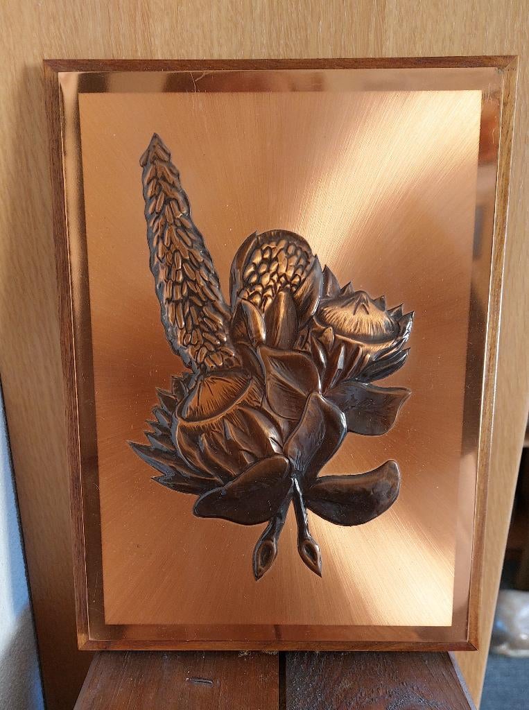 kopergravure, Antiek en Kunst, Kunst | Etsen en Gravures, Gravure, Gesigneerd, Origineel, Flora en Fauna, 1950 - 1999, Ophalen of Verzenden