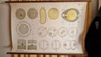 Vintage schoolplaat biologie celdeling embryologie, Ophalen of Verzenden, Natuur en Biologie