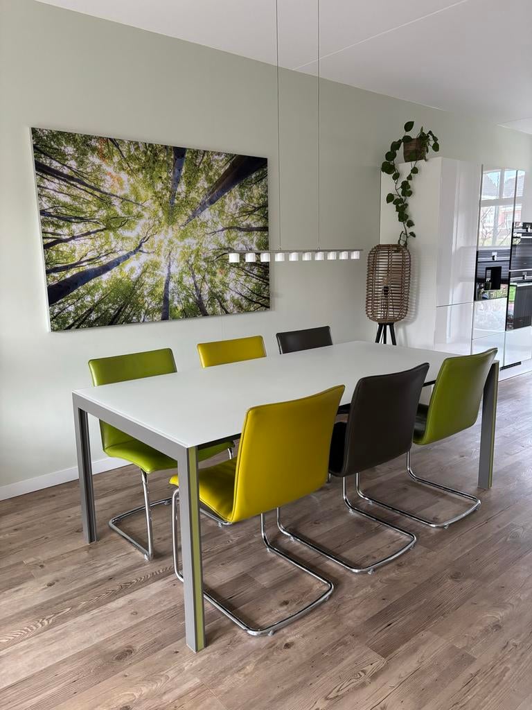RVS hanglamp met 10 witte glazen kapjes, Ophalen, Zo goed als nieuw, Glas, Modern