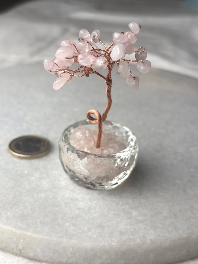 Rozenkwarts boompje nr 521, Ophalen of Verzenden