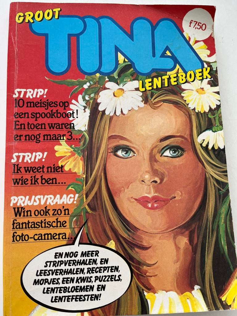 Groot Tina Stripboek, Boeken, Stripboeken, Eén stripboek, Ophalen of Verzenden, Zo goed als nieuw