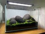 UNS 3N aquascape – Aquarium met filter en lamp, Ophalen, Inclusief planten, Zo goed als nieuw, Leeg aquarium