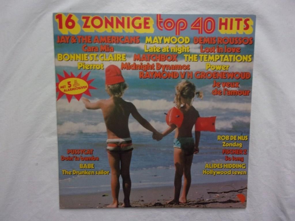 16 zonnige top 40 hits LP, Ophalen of Verzenden, Gebruikt, 12 inch, Pop