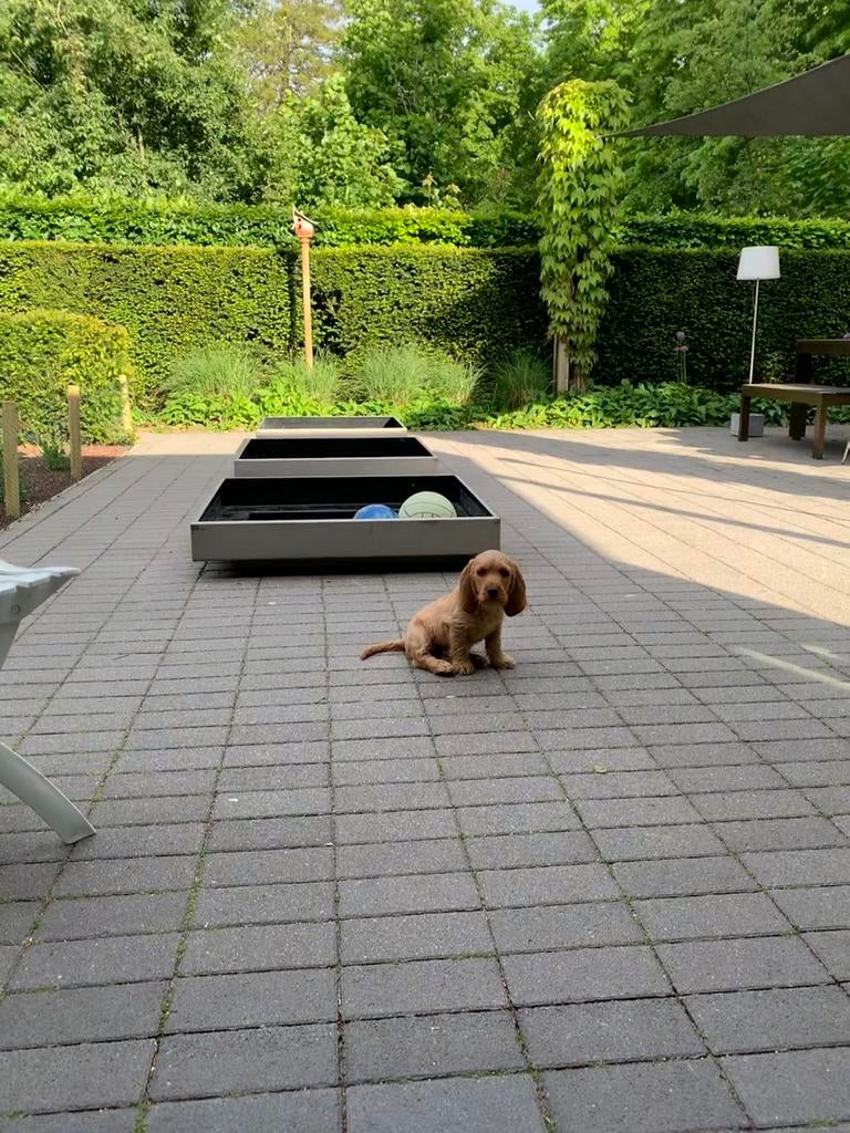 Waterbakken, Tuin en Terras, Ophalen, Gebruikt