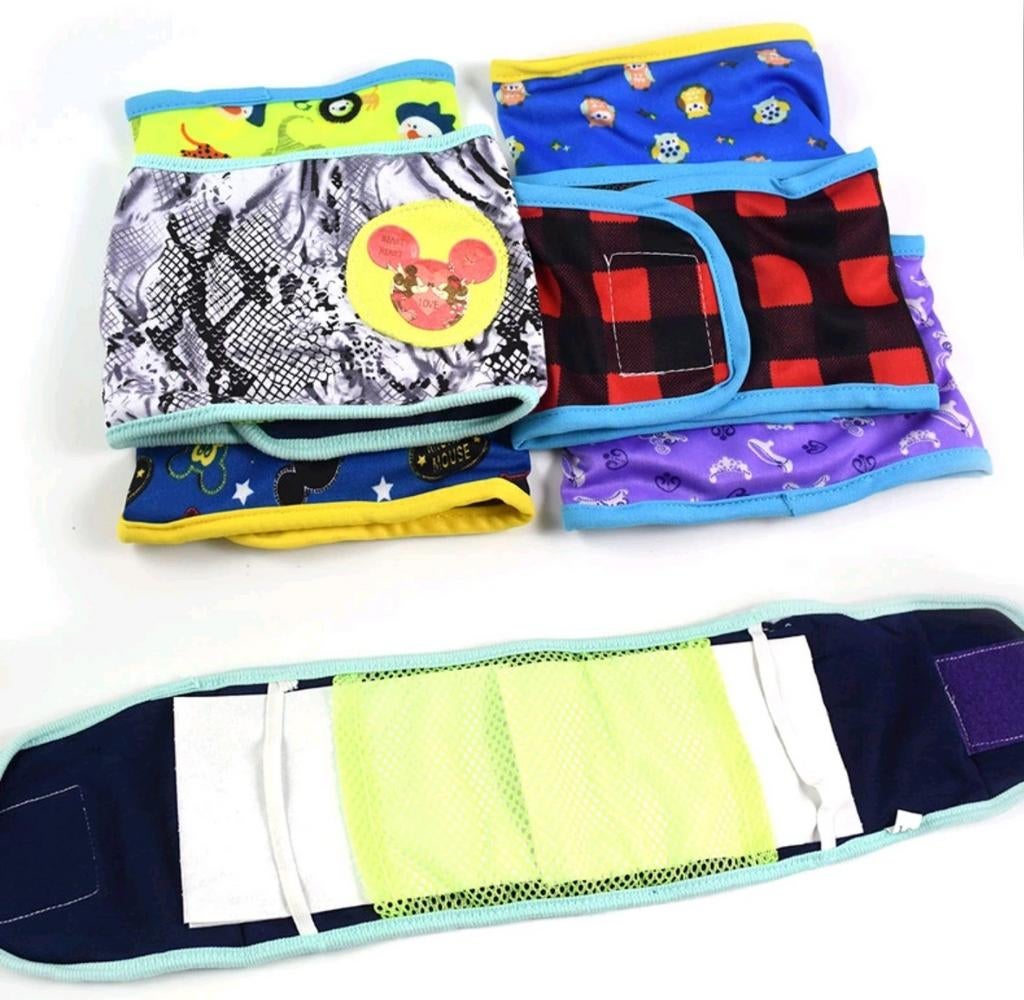 Plasband, Plasbandjes voor reuen., Dieren en Toebehoren, Honden-accessoires, Verzenden, Nieuw