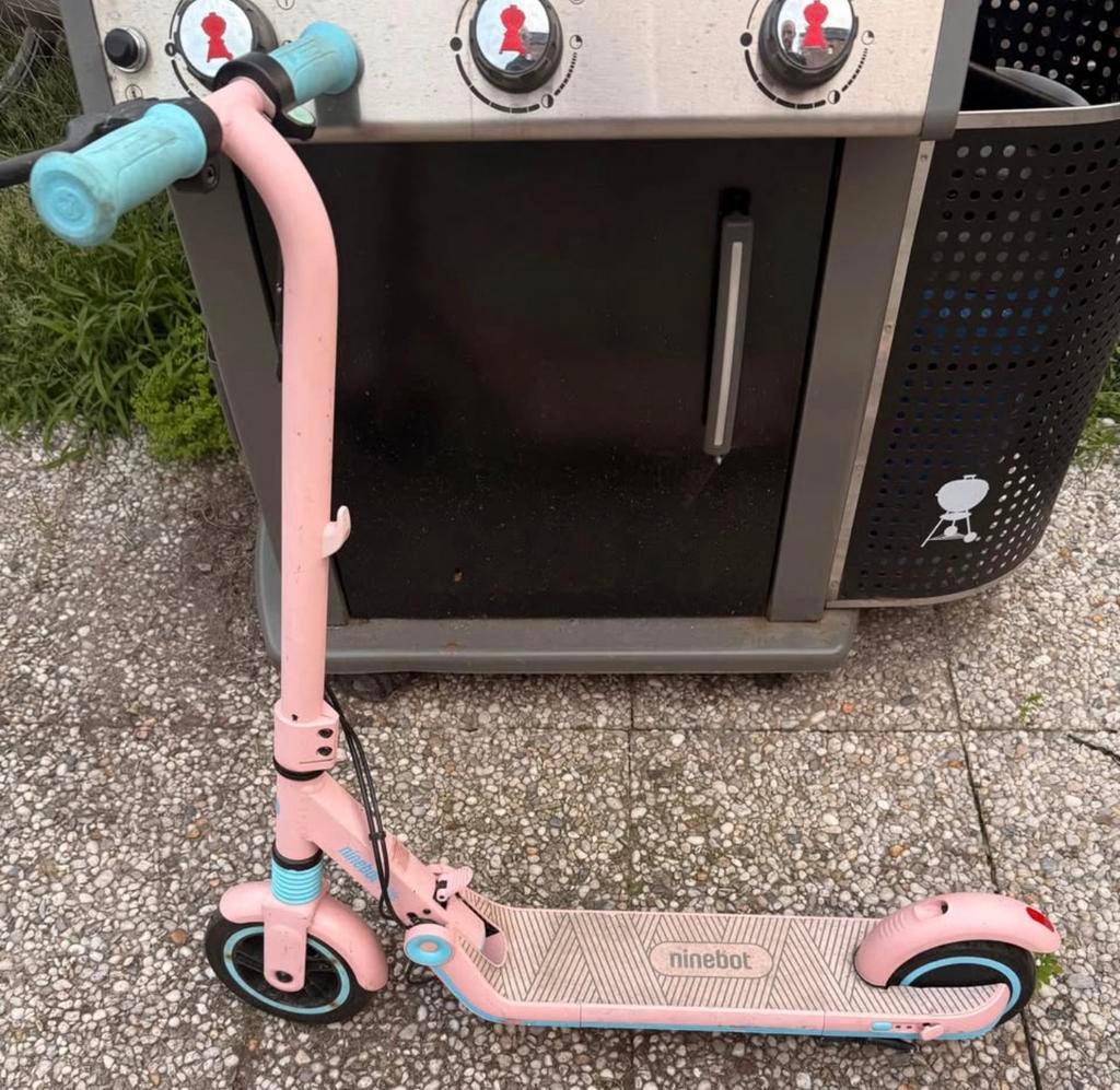 Ninebot Elektrische Step, Fietsen en Brommers, Steps, Ophalen of Verzenden, Gebruikt, Elektrische step (E-scooter)