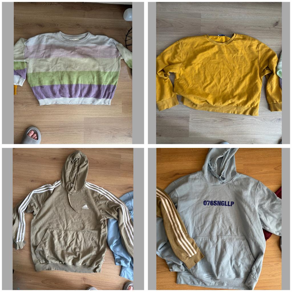 Diverse truien en hoodies - Verschillende maten en kleuren, Ophalen of Verzenden, Gedragen, Maat 38/40 (M), Overige kleuren