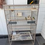 Te Koop huis volière met Vogels (colds), Dieren en Toebehoren, Ophalen, Volière