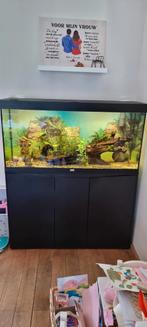 Aquatlantis Aquarium Splendid 120 Ultra RGBW Biobox, Ophalen, Zo goed als nieuw, Gevuld zoetwateraquarium