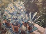Schilderij van vetplanten in potten, Antiek en Kunst, Ophalen of Verzenden