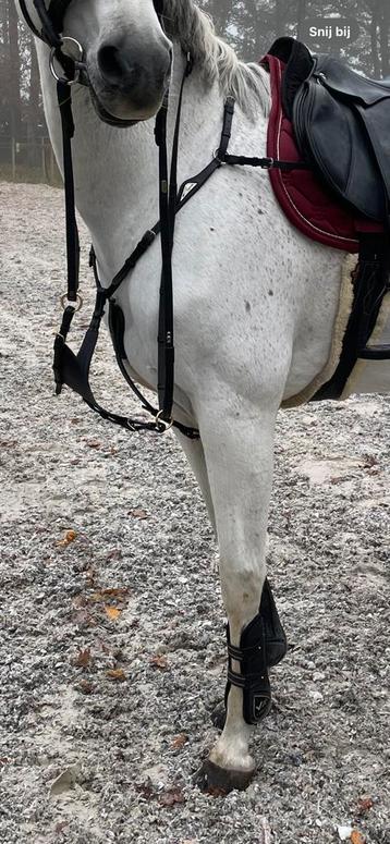 Borsttuig Equiline en dy’on dichte vork beschikbaar voor biedingen