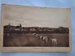 Texel de koog, Ophalen of Verzenden, Waddeneilanden