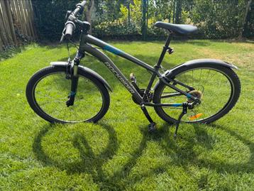 Rockrider beschikbaar voor biedingen