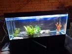Aquael aquarium  3 maanden gebruikt, Ophalen, Zo goed als nieuw, Leeg aquarium