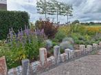 Border erfafscheiding partij prachtige stenen, Tuin en Terras, Bielzen en Borders, Ophalen of Verzenden, Nieuw, Beton, Minder dan 100 cm