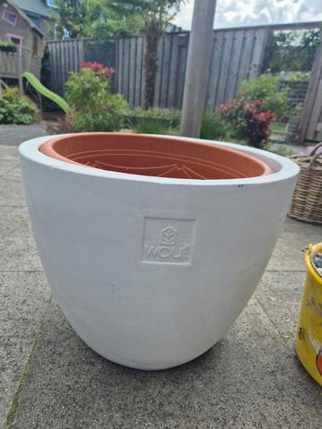 Grote witte pot beschikbaar voor biedingen