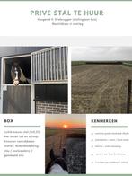 Prive stalling aan huis voor 1 of 2 paarden, Dieren en Toebehoren, Stalling